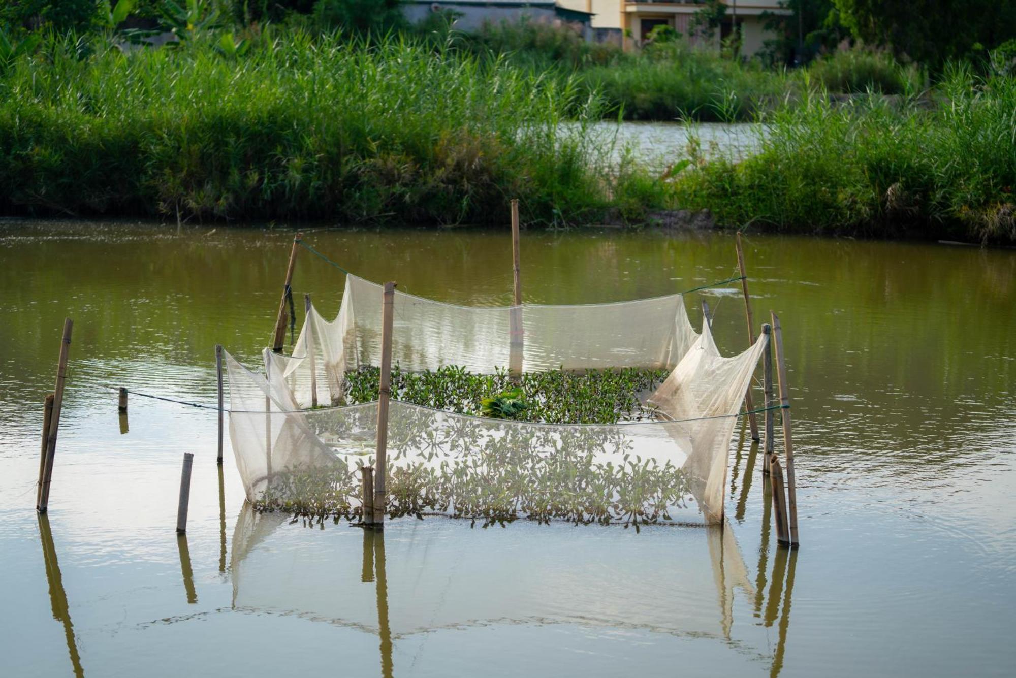 Tan Dinh Farmstay Ninh Binh Exterior foto